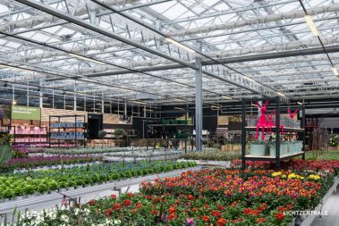 Großzügige Verkaufsfläche eines Gartencenters mit moderner Beleuchtung und zahlreichen Pflanzen- sowie Dekorationsbereichen.