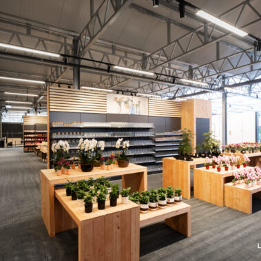 Verkaufsfläche mit Pflanzen, Blumen und Präsentationstischen in einem modernen Gewächshaus mit integrierter Beleuchtungstechnik.